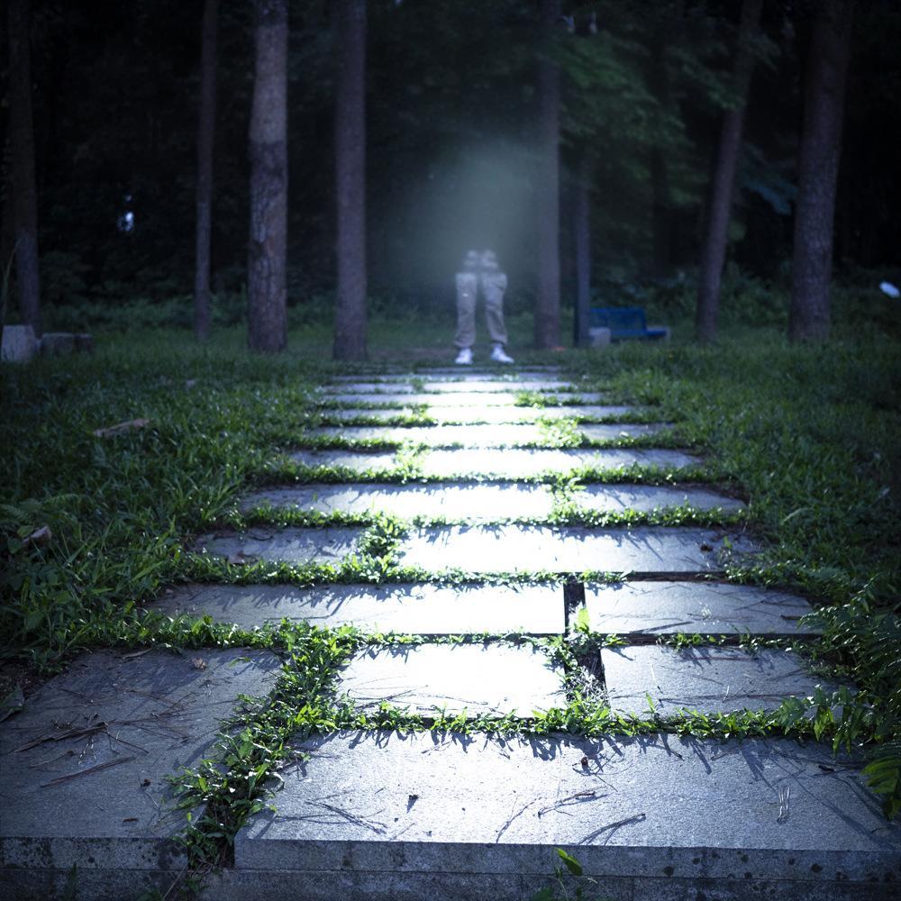 Wautton R18 EDC Titanium Alloy Mini Flashlight With USB Charging Rechargeable Fishing Outdoor Waterproof Camping Lighting EDC Tools-1